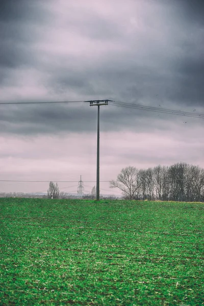 Petit pylône électrique sur un champ d'agriculture verte en hiver — Photo