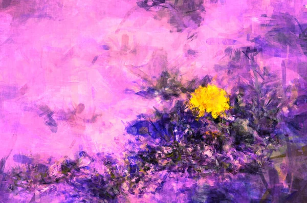 Flor Amarela Meio Pintura Rosa — Fotografia de Stock