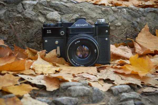 Sarı Sonbahar Yapraklarının Üzerinde Duran Eski Sovyet Kamerası — Stok fotoğraf