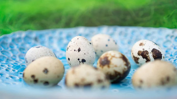 Huevos lindos marrones en el impresionante plato azul hecho a mano. Tema Huevos —  Fotos de Stock