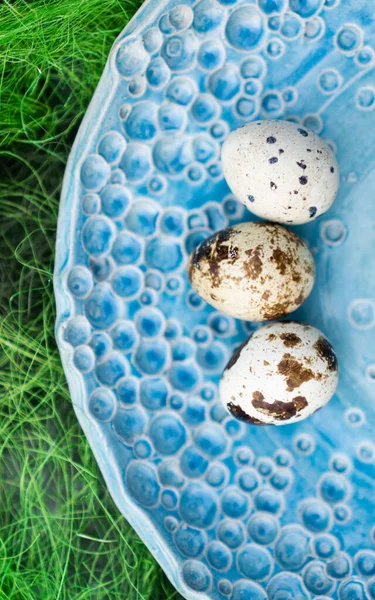 Αυθεντικά αυγά ορτυκιού σε μοντέρνο μπλε πιάτο. Θέμα πορτραίτου Πάσχα. — Φωτογραφία Αρχείου