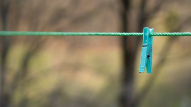 Ağaçların arka planında yeşil bir ipte mavi bir mandal. Tek cisim kavramı. Çamaşır ipi, kablo, ip