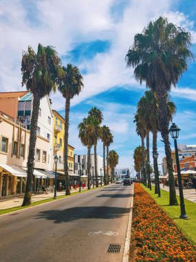 Cascais 'deki güneşli yolda palmiye ağaçları, mavi gökyüzü, bulutlar ve konut binaları