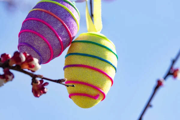 Multi-colored Easter eggs, Easter decorations on a tree