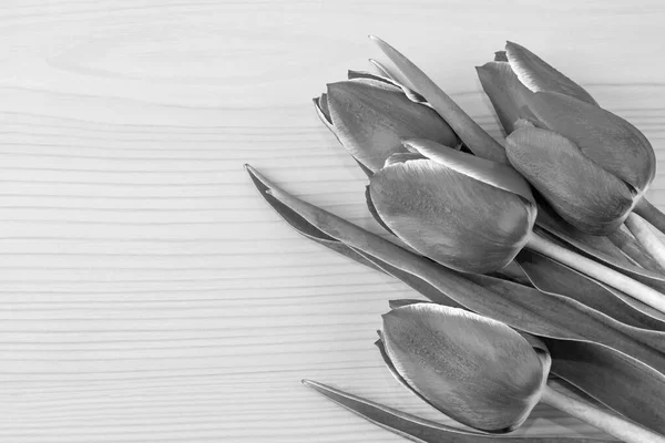 Black and white photo with flowers, tulips and place for text. Tulips on a wood background.