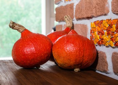 Balkabağıyla hayat