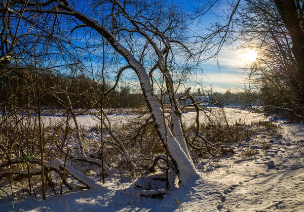 Loshitsa park, Minsk Beyaz Rusya — Stok fotoğraf