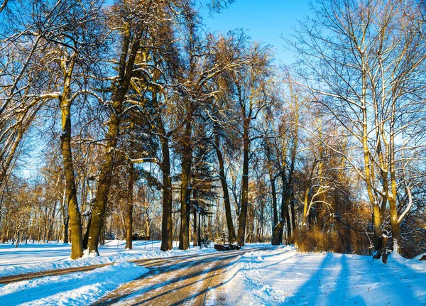 Loshitsa πάρκο, Minsk Λευκορωσία — Φωτογραφία Αρχείου