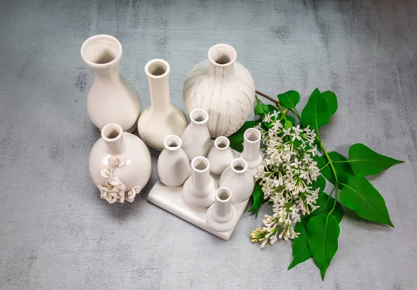 Med en gren av lila vaser av porslin — Stockfoto