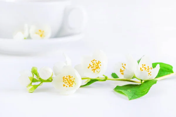 Tea and jasmine flowers