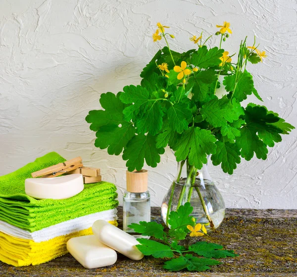 Fleurs celandine, spa — Photo