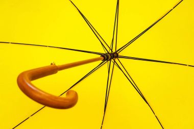 Şemsiye, alt görünüm, arkaplan