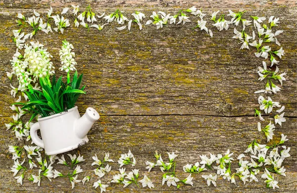 Witte Bloemenlijst — Stockfoto