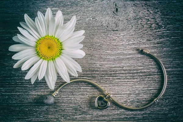 Gümüş bilezik ve papatya çiçeği — Stok fotoğraf