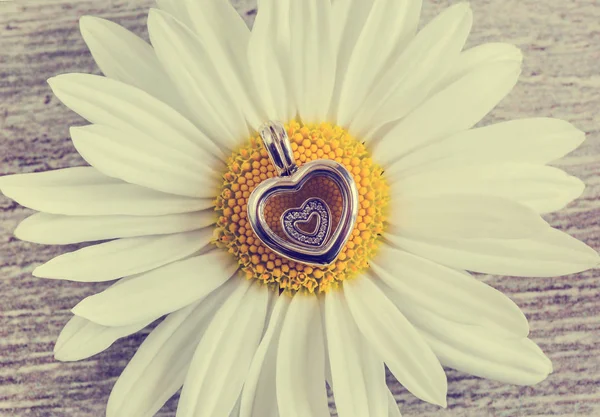 Colgante - corazón y flor de manzanilla — Foto de Stock