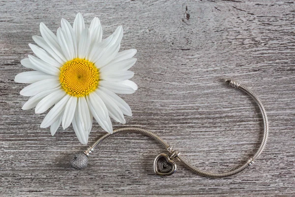 Pulsera de plata y flor de manzanilla —  Fotos de Stock