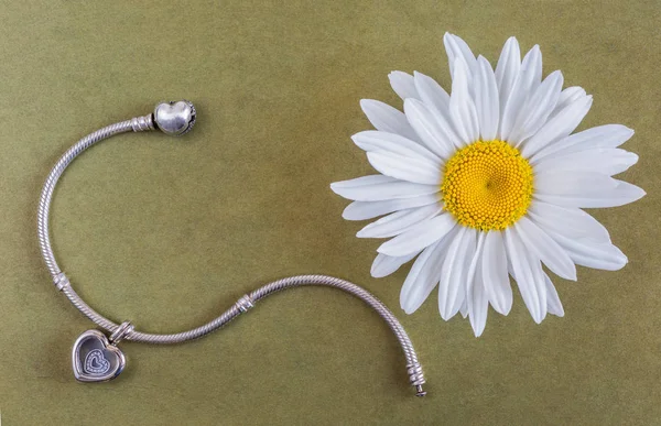 Pulseira de prata e flor de camomila — Fotografia de Stock