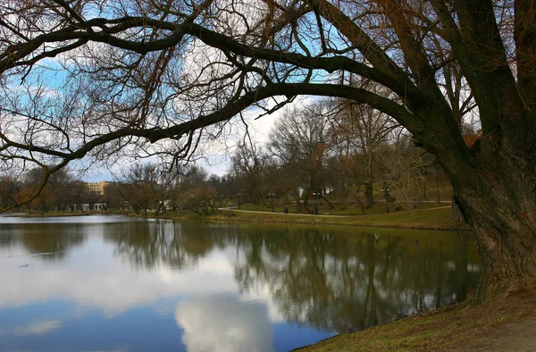 Minsk, a park Loshitsa — Stock Fotó