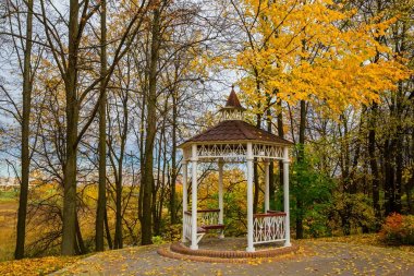 Parkta altın sonbahar