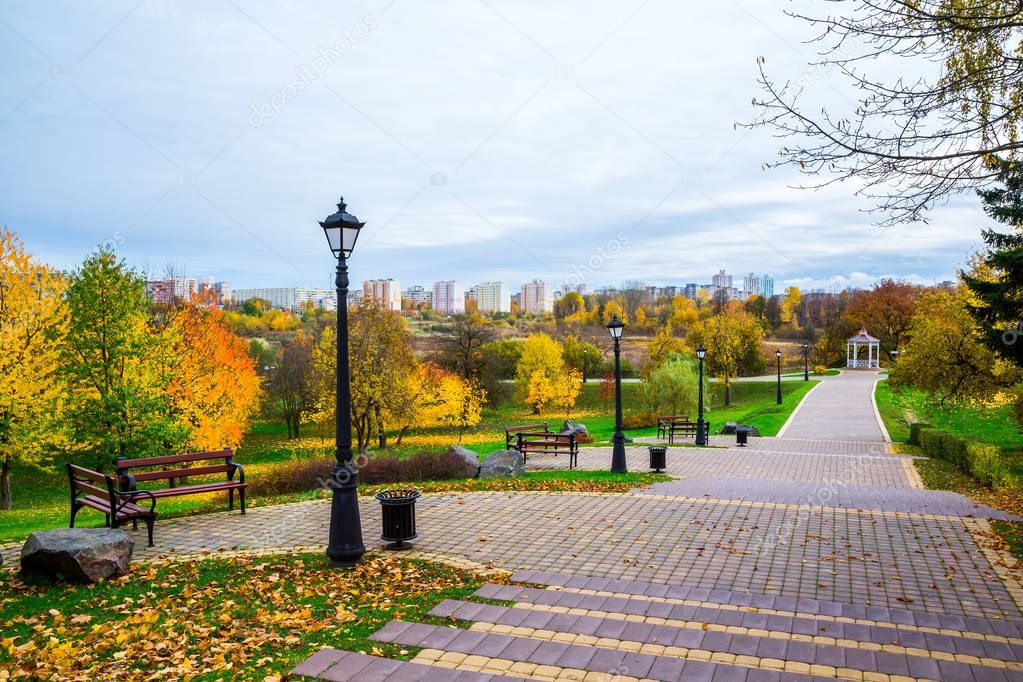 golden autumn in the park