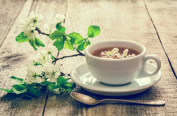 Boisson Thérapeutique Une Tasse Thé Fleur Pommier Sain Parfumé Rétro — Photo