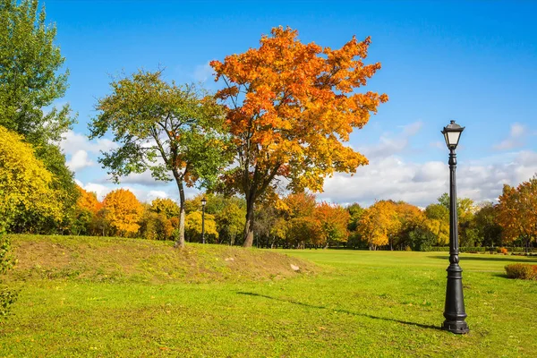 Cidade Paisagem Outono Árvores Com Belas Folhas Amarelas City Park — Fotografia de Stock