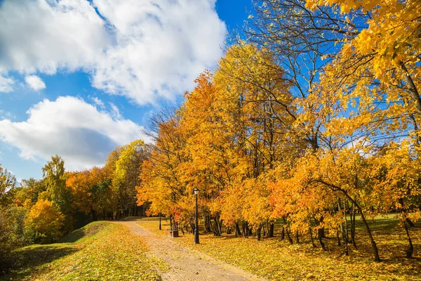 美しい黄色の葉を持つ木の街の秋の風景 シティパーク ロスチツキー公園 旧マナー ミンスク ベラルーシ 黄金の秋 — ストック写真
