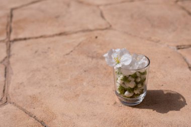 Bir bardak bahar likörü.