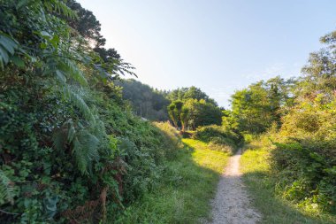 Bask ülkesinde güneşli yol