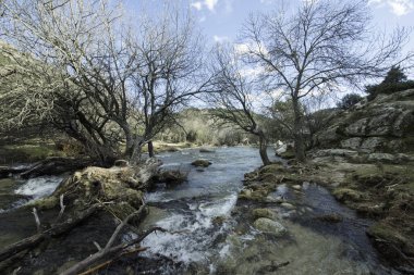 İlkbaharda ormandaki nehir
