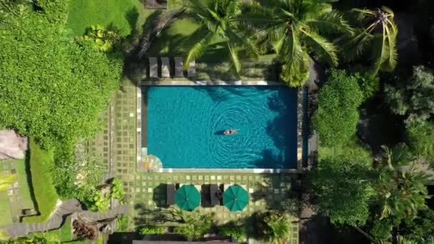 Bella Ragazza Nuota Piscina Nella Vista Della Giungla Dall Alto — Video Stock