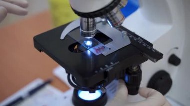 Tıp doktoru mikroskop kullanıyor.