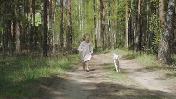 Ένα κοριτσάκι με λευκό φόρεμα και μια κατσίκα τρέχουν ξυπόλητη στο δρόμο στο δάσος. — Αρχείο Βίντεο