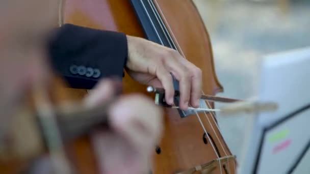 一个男人在夏日演奏大提琴时的特写 在前景中 一个人在演奏小提琴时注意力不集中 — 图库视频影像
