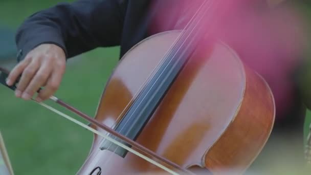 Solig Sommardag Spelar Man Svart Jacka Energiskt Cellon Bakgrund Grönt — Stockvideo