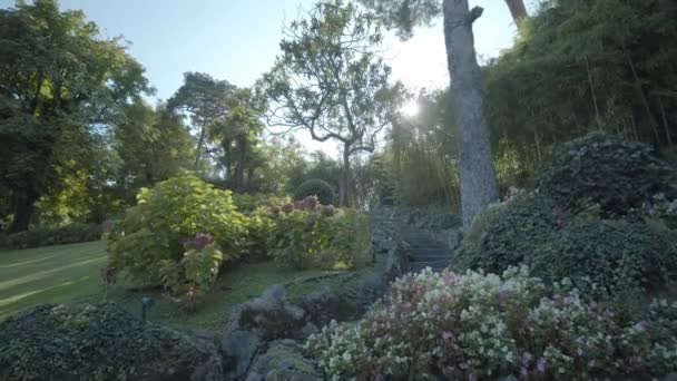 Summer Evening View Blue Gray Staircase Green Park Flowers Lake — Stock Video