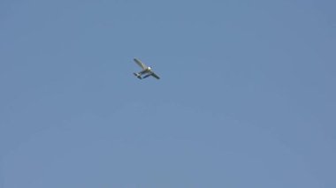 Como Gölü 'nün açık güneşli bir yaz gününde beyaz deniz uçağı mavi gökyüzüne doğru uçar.