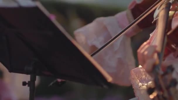 Дівчина Красивій Рожевій Вінтажній Сукні Грає Скрипці Мастурбуючи Струни Ввечері — стокове відео