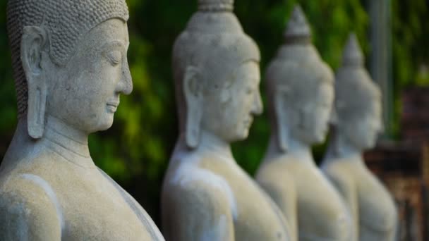 Video Del Tempio Buddha — Video Stock