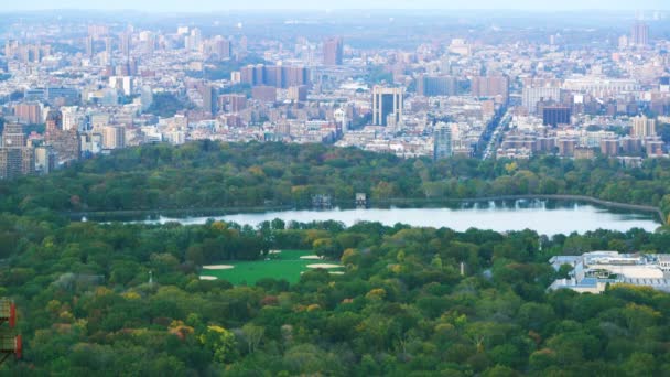 Central Park New York City — Stock video
