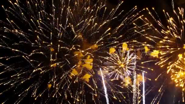 Video Compilazione Fuochi Artificio — Video Stock