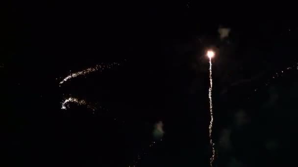 Feuerwerk Farben Grün Gold — Stockvideo