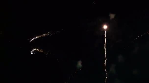 Video Von Feuerwerk Zusammenstellung — Stockvideo