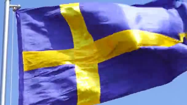 Video Sweden Flag — Stock Video