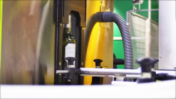 Glasflessen Lijn Productie Industrie — Stockvideo