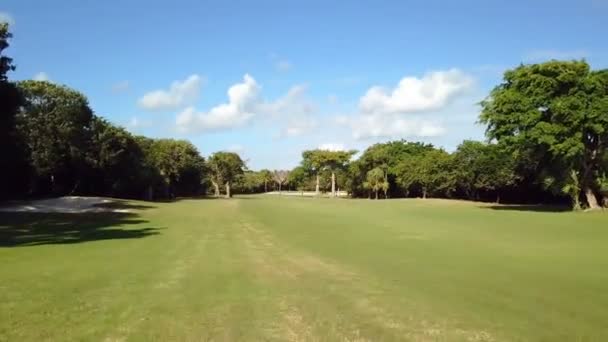 Golf Field Aerial Drone — Stock Video