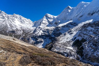 Kar dağı ve kuru otlar.