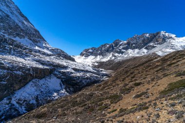 Kar dağı ve kuru otlar.