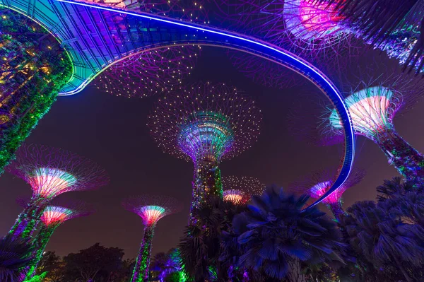 Jardín Junto Bahía Singapur — Foto de Stock