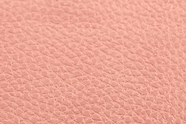 Coral fundo rosa com textura de couro. Vista superior . — Fotografia de Stock